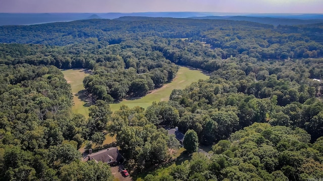 bird's eye view with a wooded view