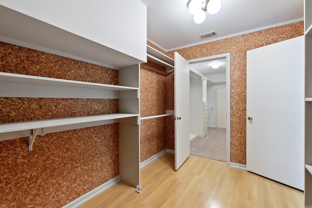 walk in closet featuring visible vents and wood finished floors