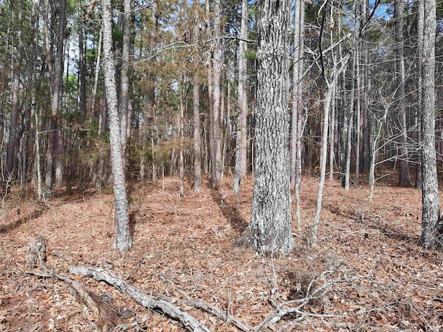 Address Not Disclosed, Shirley AR, 72560 land for sale