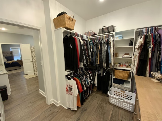 walk in closet featuring dark wood-style floors