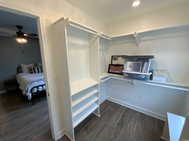 spacious closet featuring dark wood-style floors and a ceiling fan