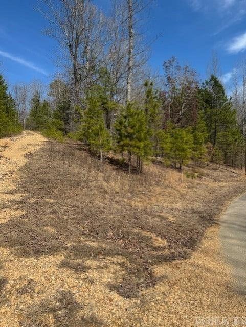 205 Red Hawk Cir, Paron, AR 72122