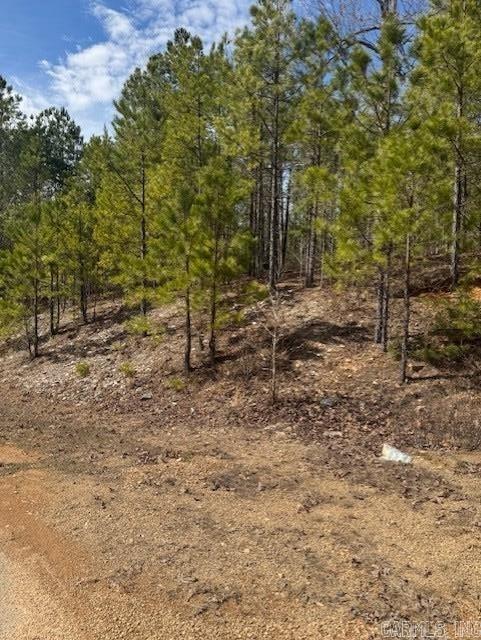 205 Red Hawk Cir, Paron, AR 72122