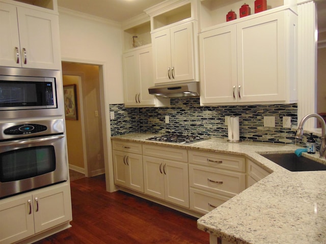 kitchen featuring under cabinet range hood, a sink, ornamental molding, appliances with stainless steel finishes, and decorative backsplash