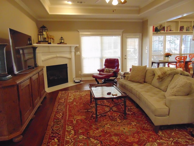 living area featuring dark wood-style flooring, a fireplace with flush hearth, a ceiling fan, a tray ceiling, and crown molding