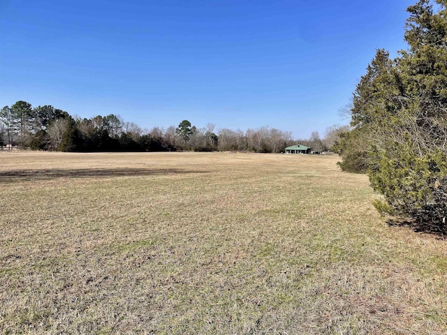 view of yard with a rural view