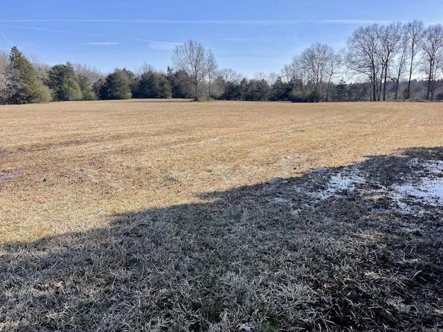 view of yard featuring a rural view