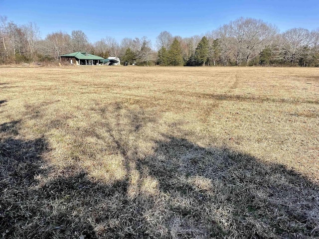 view of yard featuring a rural view