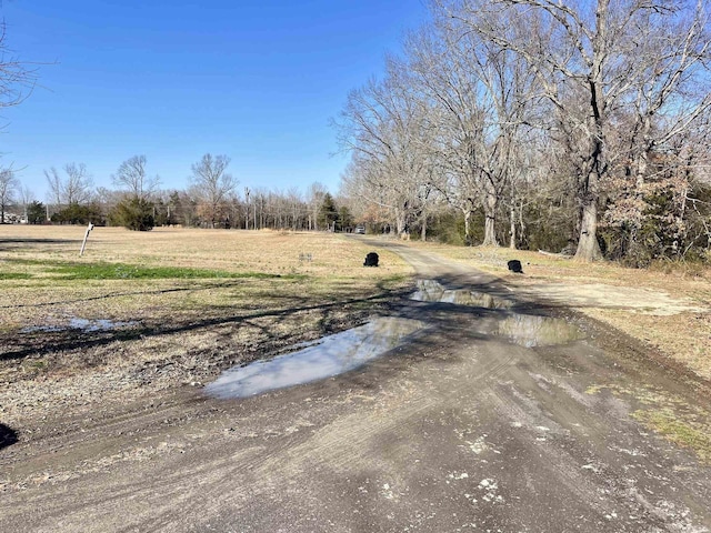 view of yard with driveway