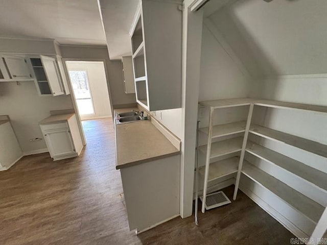 walk in closet with vaulted ceiling, dark wood finished floors, and a sink