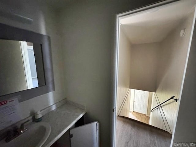 bathroom featuring wood finished floors and a sink