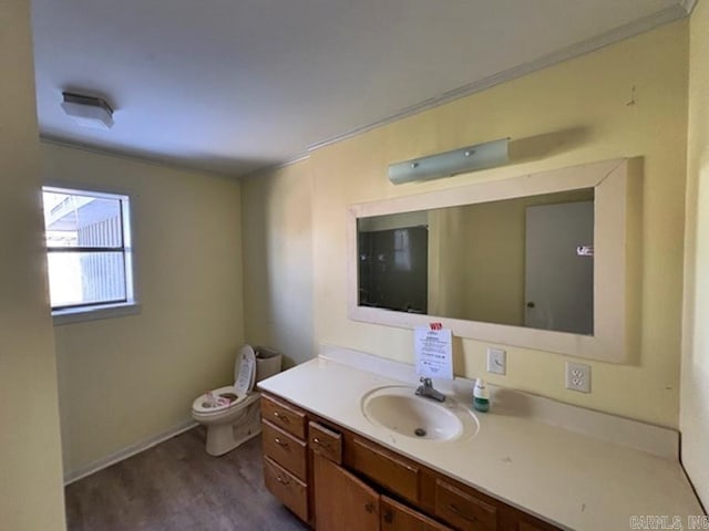 bathroom with vanity, toilet, and wood finished floors