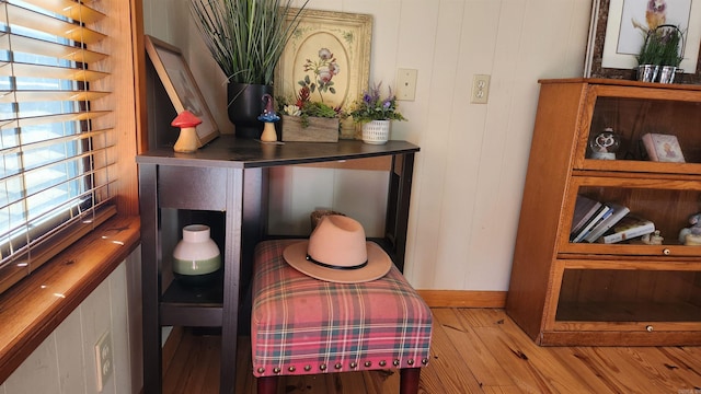 details featuring baseboards and wood finished floors