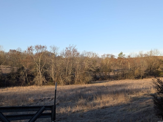 Unk Polk Road 62, Mena AR, 71953 land for sale