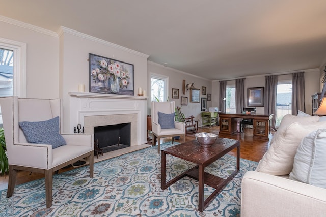 living area featuring ornamental molding and a premium fireplace