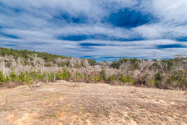 view of local wilderness