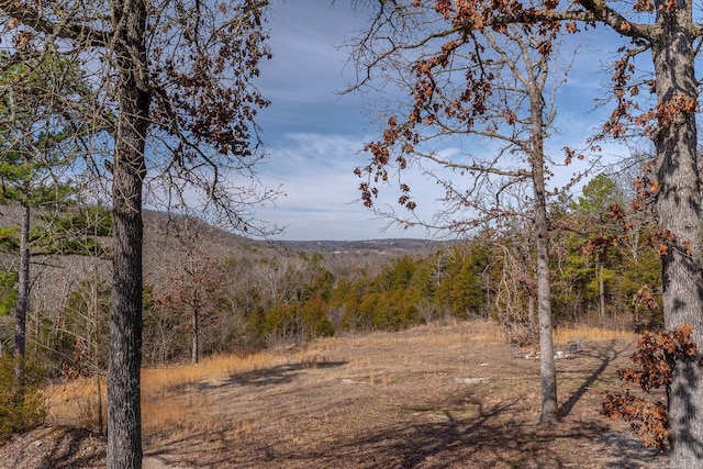 view of nature featuring a view of trees