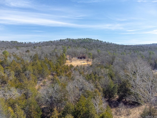 property view of mountains with a wooded view