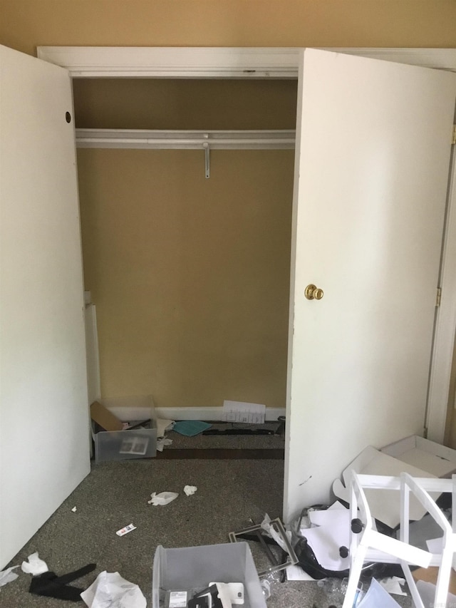 view of closet