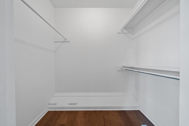 walk in closet featuring dark wood-style floors