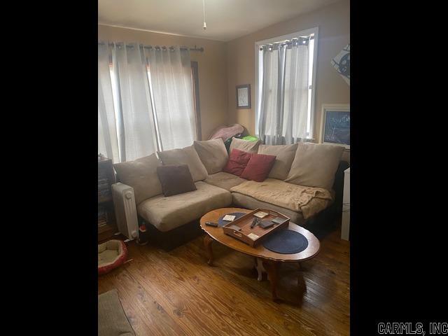 living area featuring radiator and wood finished floors