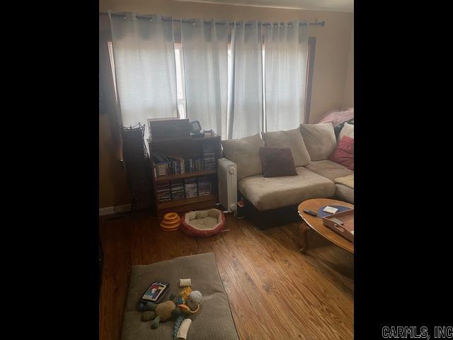 living room featuring wood finished floors and radiator