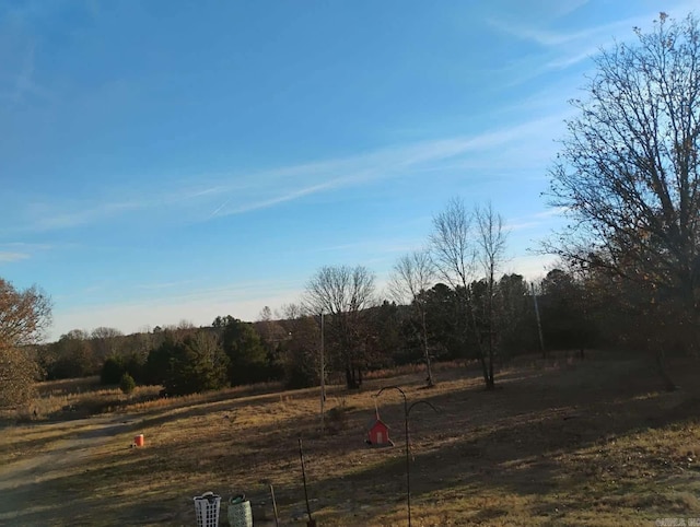 view of yard with a rural view