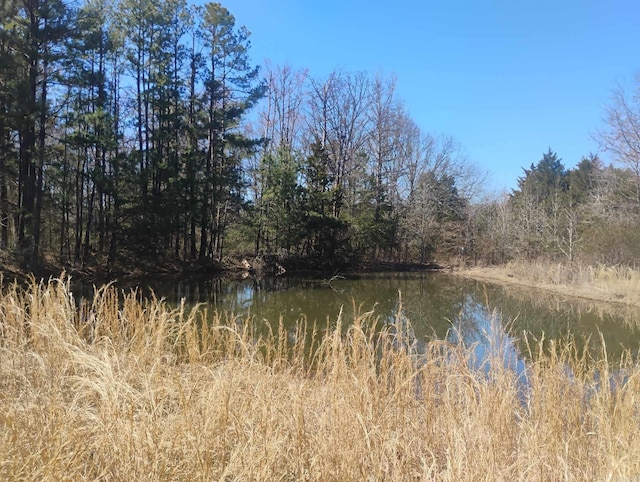 water view with a wooded view