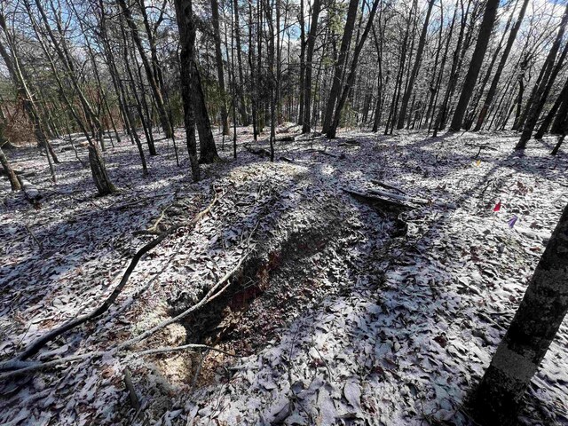 TBD Rolling Oaks Lane, Mena, AR 71953