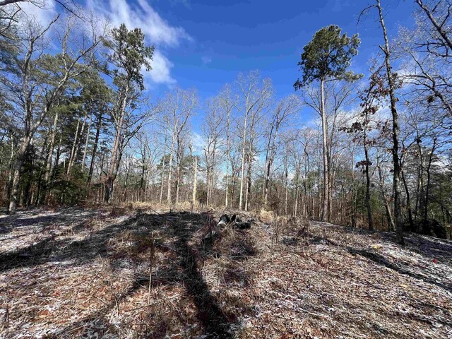 TBD Rolling Oaks Lane, Mena, AR 71953