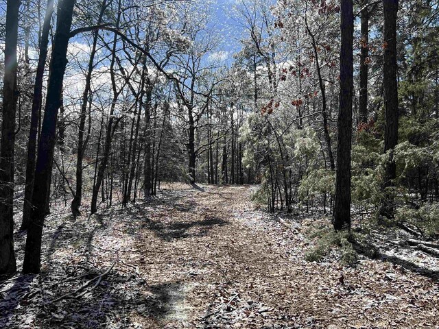 TBD Rolling Oaks Lane, Mena, AR 71953