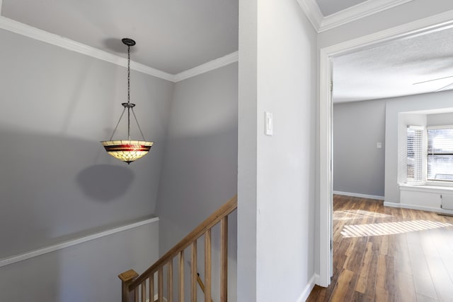 hallway with baseboards, wood finished floors, an upstairs landing, and crown molding