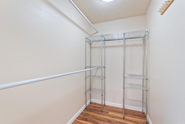 walk in closet with wood finished floors