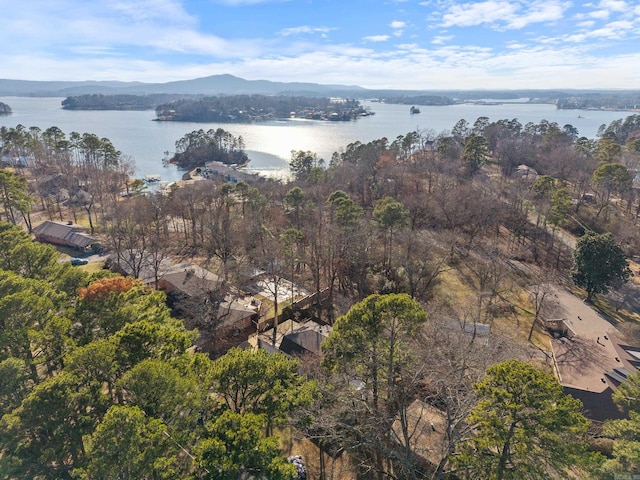 drone / aerial view featuring a water and mountain view