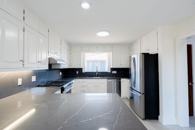 kitchen featuring under cabinet range hood, white cabinetry, stainless steel appliances, and a sink