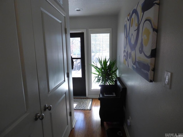 doorway featuring dark wood-type flooring