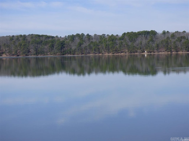 water view featuring a wooded view