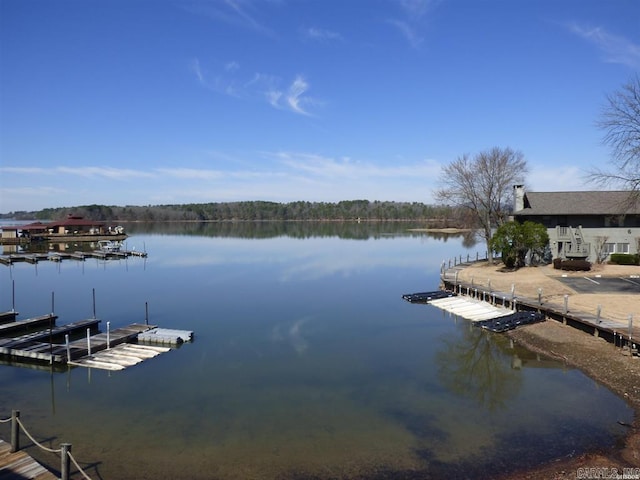 dock area featuring a water view