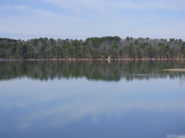 water view featuring a view of trees