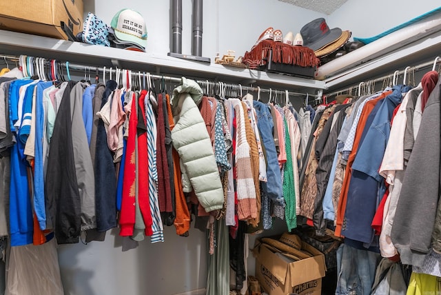 view of spacious closet