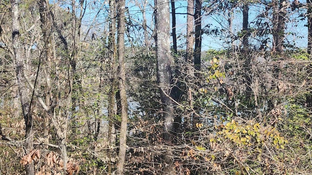 view of landscape with a wooded view