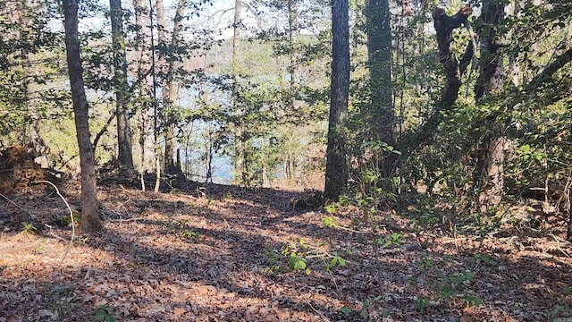 view of local wilderness featuring a forest view