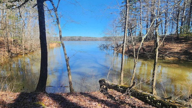 view of water feature with a view of trees