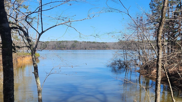 view of water feature with a view of trees