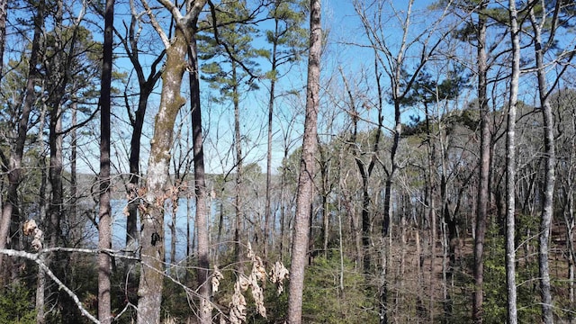 view of local wilderness featuring a forest view