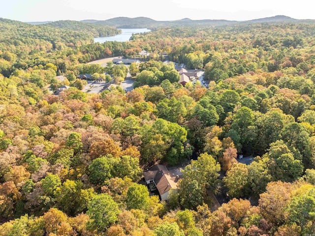 birds eye view of property featuring a water view and a forest view