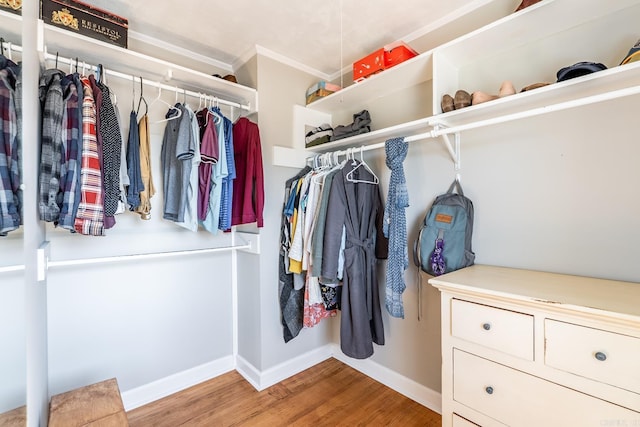 walk in closet with wood finished floors