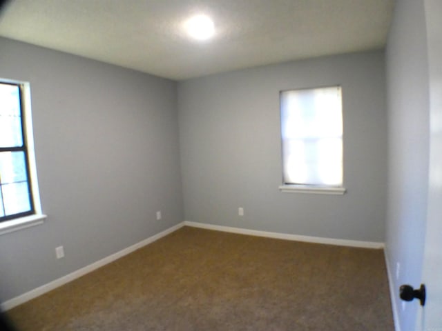 carpeted empty room with a wealth of natural light and baseboards