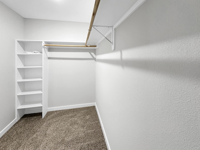 spacious closet featuring carpet flooring