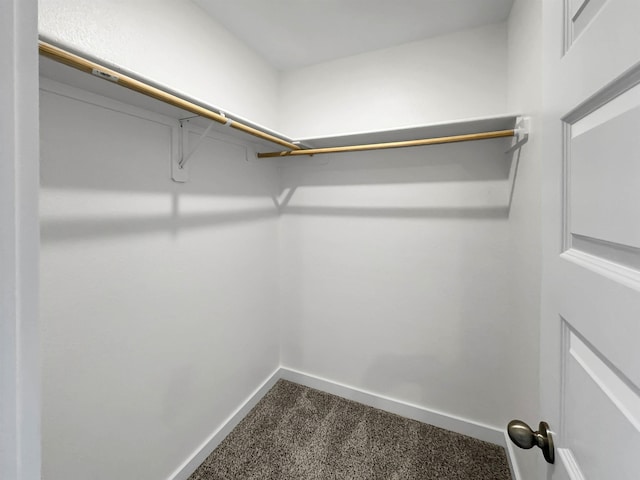 spacious closet with carpet